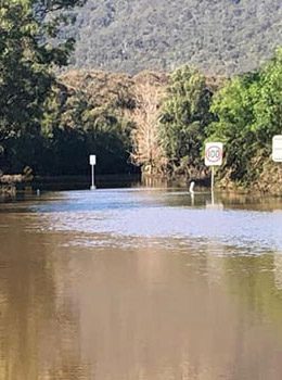 wine Selectors flood article