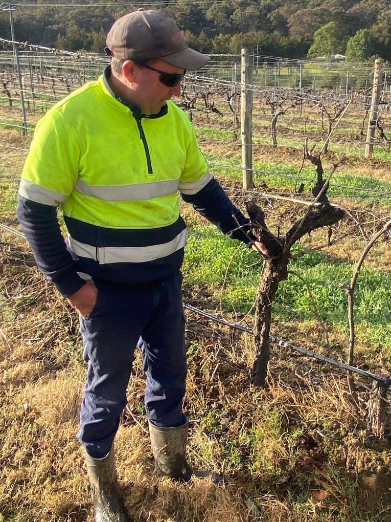 Dave Grosser Winmark Wines