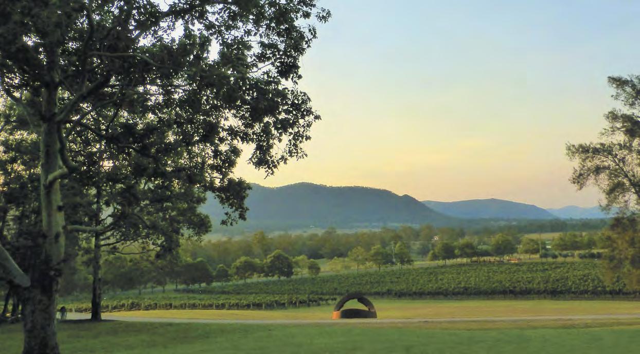 Biosis - Issuu article