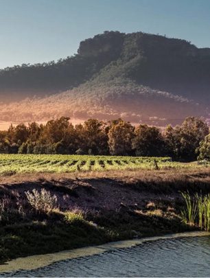 Yellow Rock view Sydney Morning Herald Article April 2021