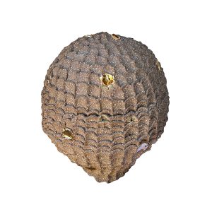 Dark Stone Ware Egg II by Joseph Turrin