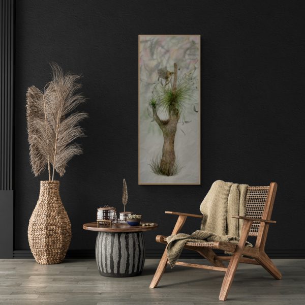 Grass Tree Songs artwork by Julianne Ross Allcorn