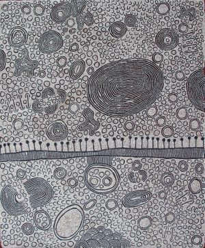 'Ngamurru Dreaming 2' painting by Yinarupa Nangala