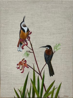 Spine Bills, morning song by Jodie Usher