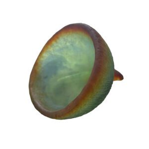 Pod Shell by Sallie Portnoy