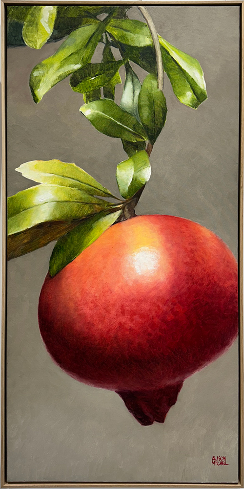 Single Pomegranate by Alison Mitchell