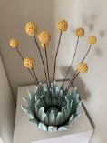 Medium Billy Buttons by Sharon Taylor