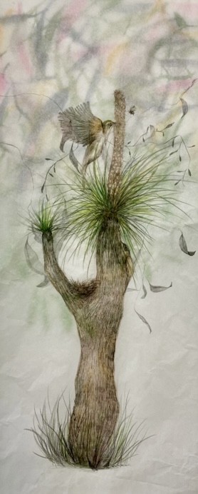 Grass Tree Songs artwork by Julianne Ross Allcorn