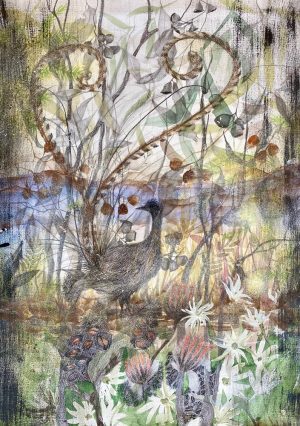 Lyrebird song fills the misty valley artwork by Julianne Ross Allcorn