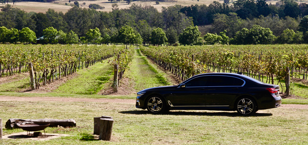 Marquee Limousines at Winmark Wines