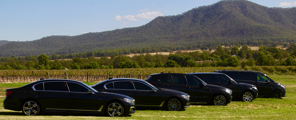 Marquee Limousines at Winmark Wines