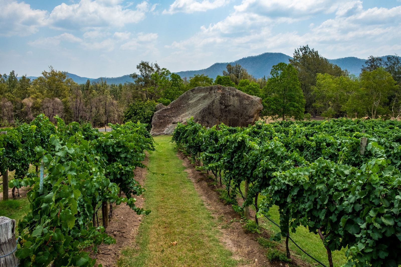 Pooles rock and vineyards at Winmark Wines